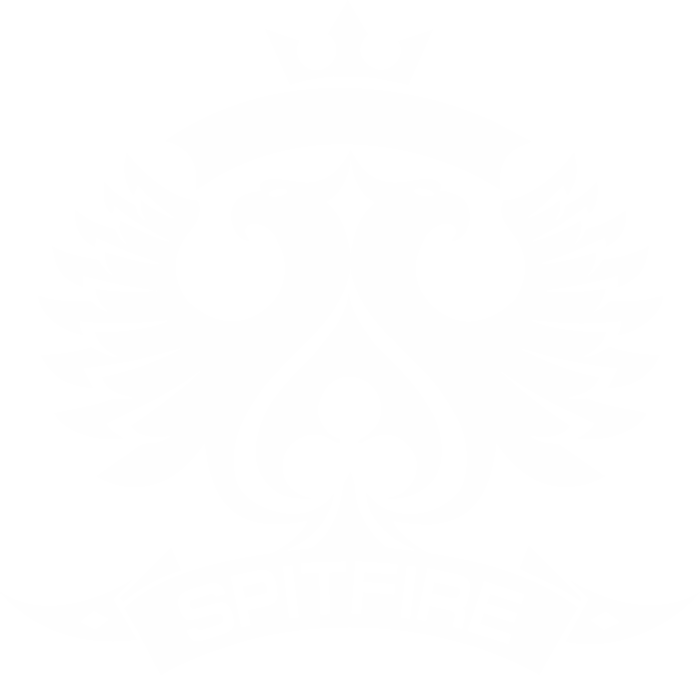 Spitfireindia